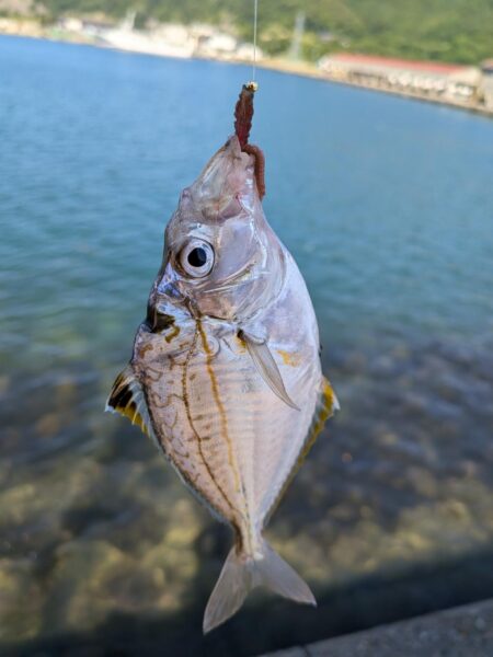 釣り場を転々と